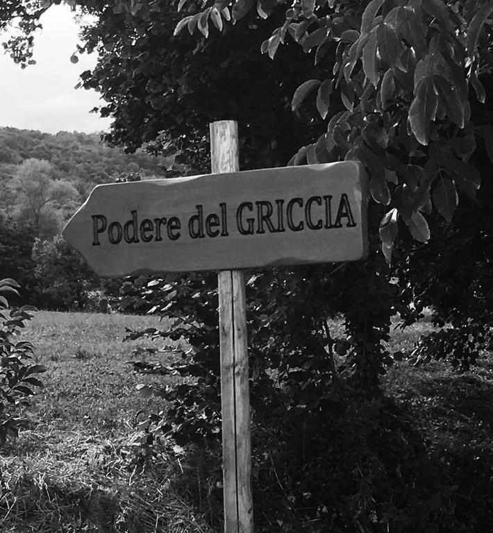 Podere Del Griccia Civitella in Val di Chiana Kültér fotó