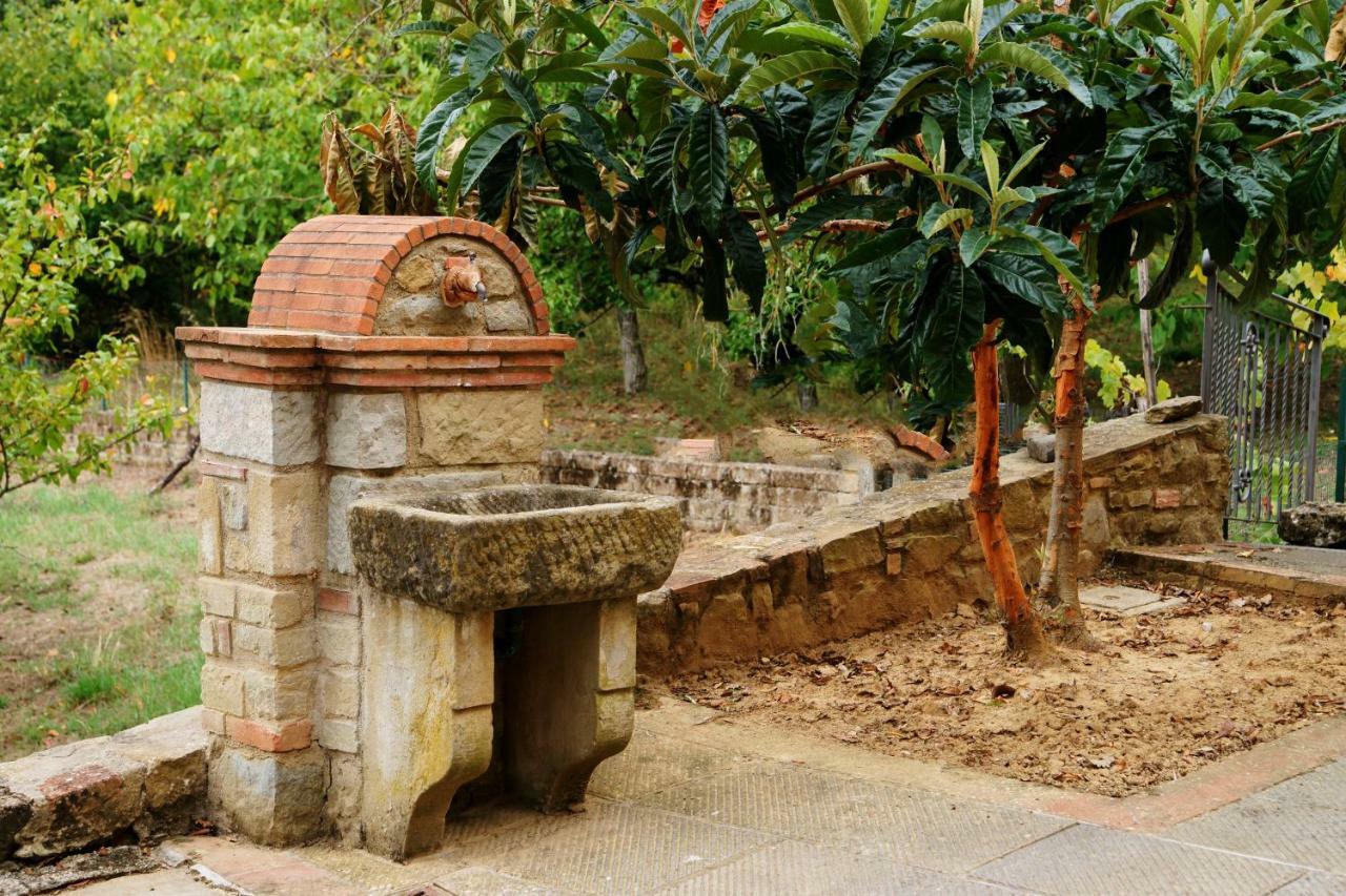 Podere Del Griccia Civitella in Val di Chiana Kültér fotó